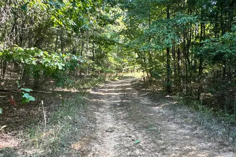 Clay County Rd. 408, Rector, AR 72461 photo 8
