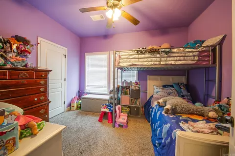 768 Mango Loop, Austin, AR 72007 photo 39