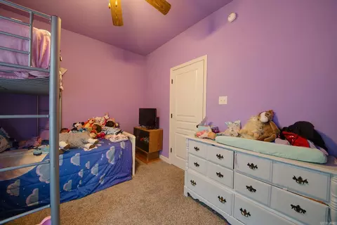 768 Mango Loop, Austin, AR 72007 photo 40