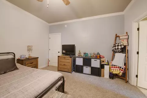 768 Mango Loop, Austin, AR 72007 photo 29