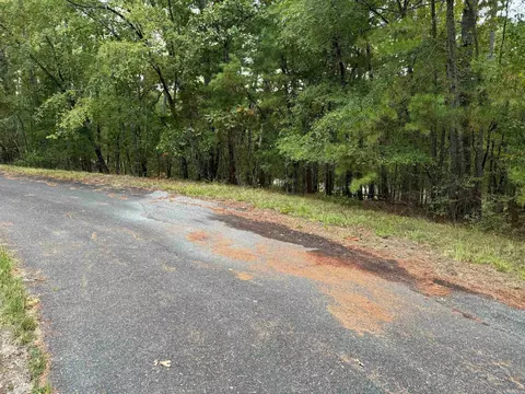 10 Capricho Ln, Hot Springs Village, AR 71909
