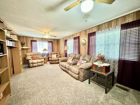 308 E Webb St, Mountain View, AR 72560 photo 16