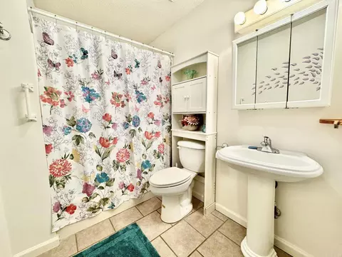308 E Webb St, Mountain View, AR 72560 photo 19