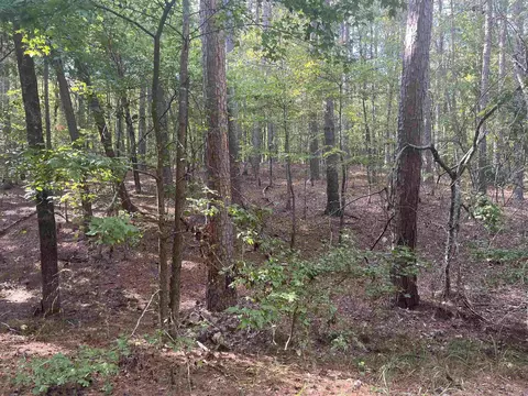 lot7 Blk 4 Doscientos Way, Hot Springs Village, AR 71909