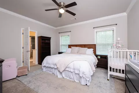 393 Reuben Dr, Alexander, AR 72002 photo 25
