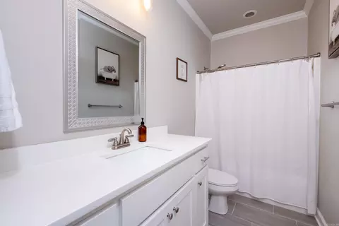 393 Reuben Dr, Alexander, AR 72002 photo 38