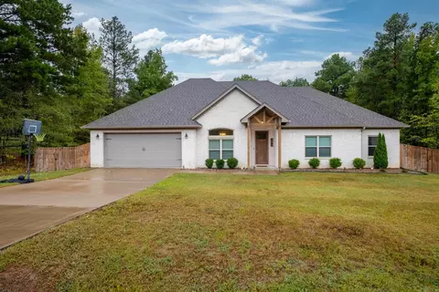 393 Reuben Dr, Alexander, AR 72002 photo 1