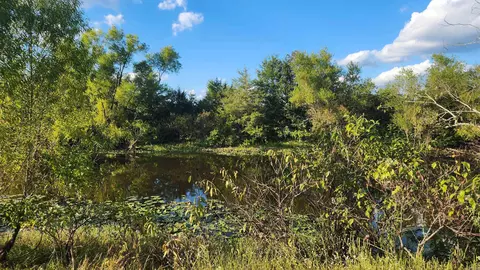 tbd Lynda Ln, Oden, AR 71961