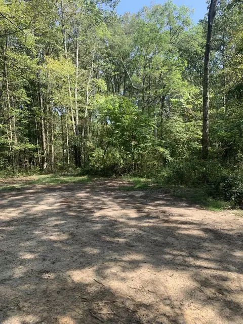 7179 Richard, Mabelvale, AR 72103 photo 21