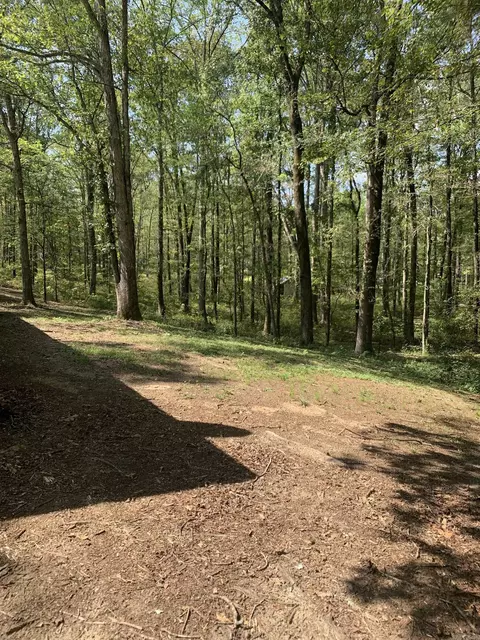 7179 Richard, Mabelvale, AR 72103 photo 20
