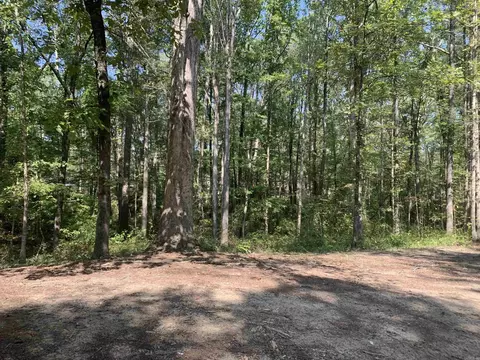 7179 Richard, Mabelvale, AR 72103 photo 22
