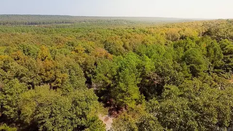 View/Area - 35016 Highway 107, Cabot, AR 72023 photo 2 of 2