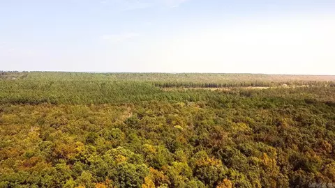 Other - 35016 Highway 107, Cabot, AR 72023 photo 13 of 14
