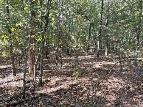 lot1 Valhalla Dr, Edgemont, AR 72067 photo 2