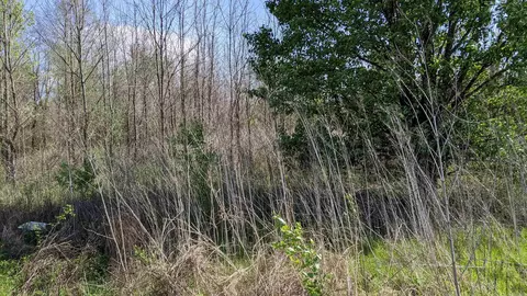 257 Martin Loop, Scott, AR 72086 photo 3