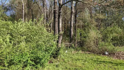 32 Oddie Ln, Ward, AR 72176