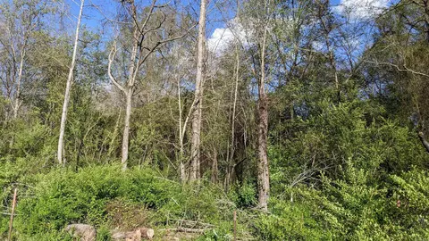 32 Oddie Ln, Ward, AR 72176 photo 3