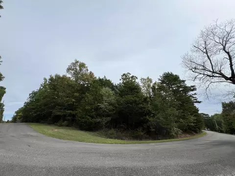 137 Shore Dr, Shirley, AR 72153
