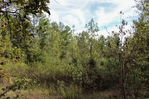 tbd Polk 151, Hatfield, AR 71945 photo 8