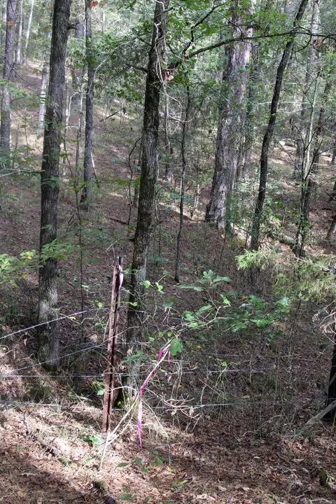 tbd Polk 151, Hatfield, AR 71945 photo 15
