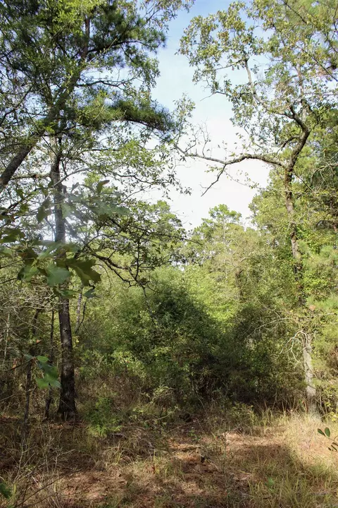 tbd Polk 151, Hatfield, AR 71945 photo 3