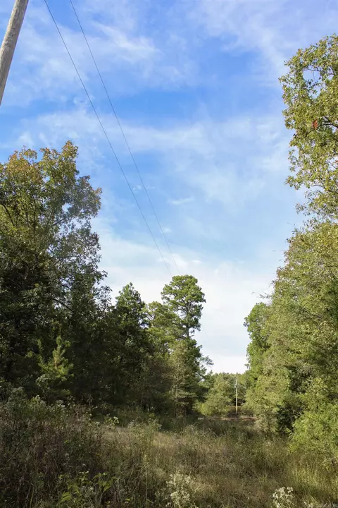 tbd Polk 151, Hatfield, AR 71945 photo 2