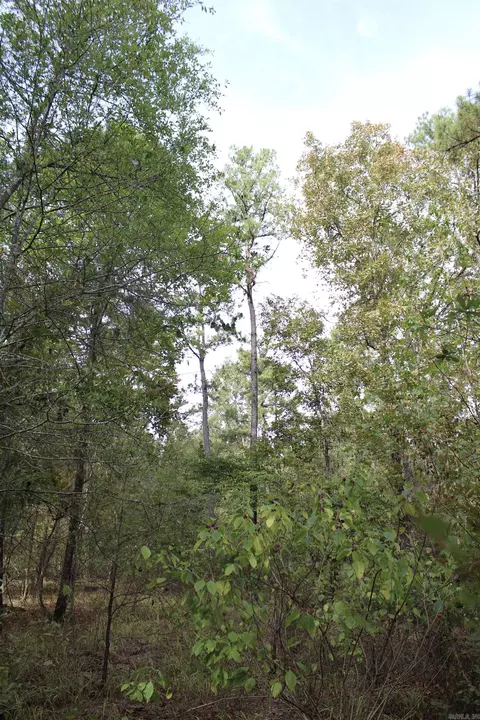tbd Polk 151, Hatfield, AR 71945 photo 9