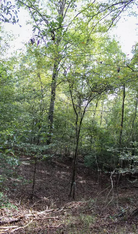 tbd Polk 151, Hatfield, AR 71945 photo 13