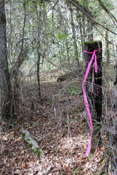 tbd Polk 151, Hatfield, AR 71945 photo 16