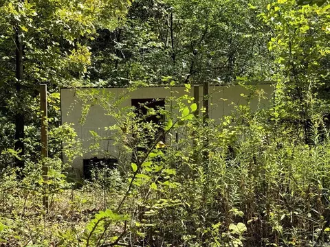 Exterior - 81 Oak St, Ash Flat, AR 72513 photo 9 of 9