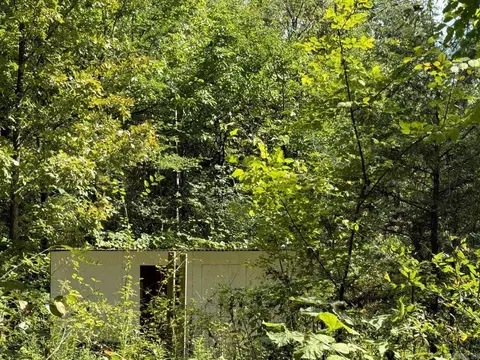 Exterior - 81 Oak St, Ash Flat, AR 72513 photo 8 of 9