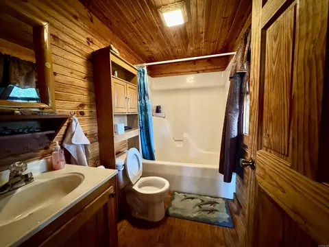 105 Cleng Persson St, Mountain View, AR 72560 photo 11