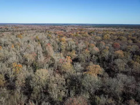 White Oak Slough Road, Arkadelphia, AR 71923