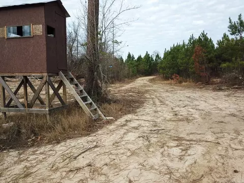 Bradley Road, Warren, AR 71671 photo 17