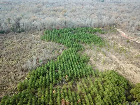 Bradley Road, Warren, AR 71671 photo 14