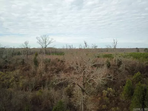 Bradley Road, Warren, AR 71671 photo 19