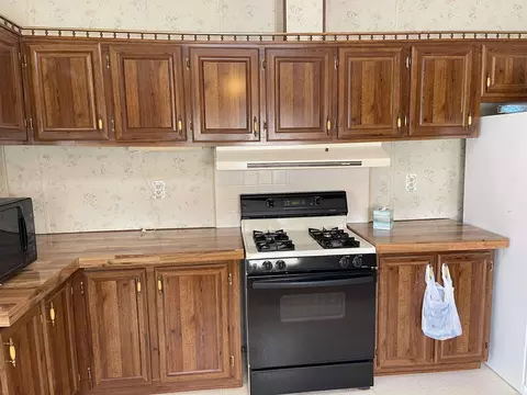 39 Robin Ln, Greers Ferry, AR 72067 photo 13