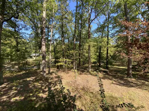 Exterior - 217 Hall St, Mount Ida, AR 71957 photo 13 of 16