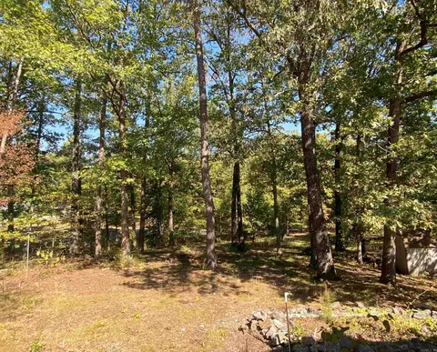 Exterior - 217 Hall St, Mount Ida, AR 71957 photo 9 of 16