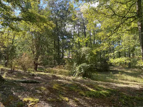 Exterior - 217 Hall St, Mount Ida, AR 71957 photo 15 of 16