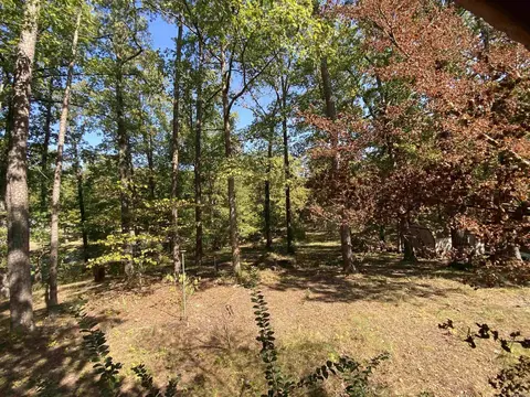 Exterior - 217 Hall St, Mount Ida, AR 71957 photo 12 of 16