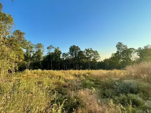 3 71 Acres Randolph County, Imboden, AR 72434
