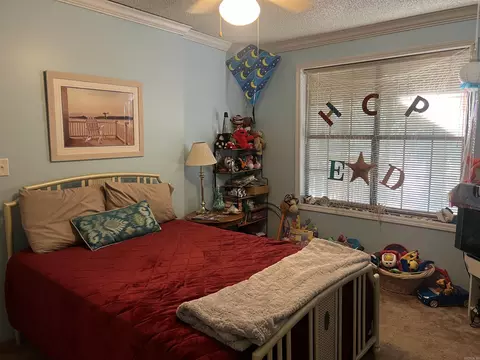 Bedroom - 6207 Brinkley Rd, Pine Bluff, AR 71603 photo 5 of 6