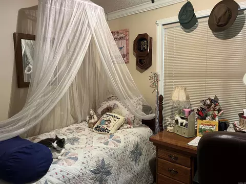 Bedroom - 6207 Brinkley Rd, Pine Bluff, AR 71603 photo 4 of 6