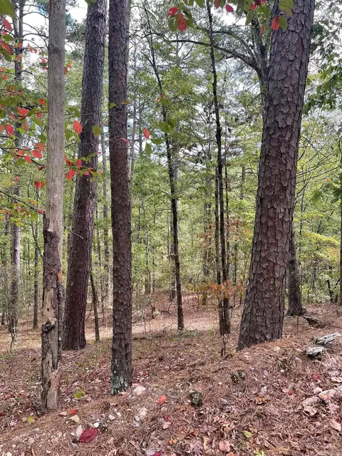31 Devaca Way, Hot Springs Village, AR 71909