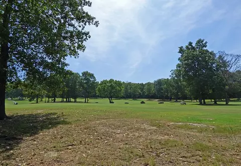 Alamo Trail, Cherokee Village, AR 72529