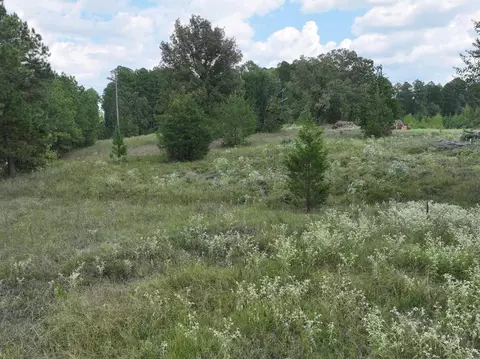 761 Richardson Rd, Amity, AR 71921 photo 16