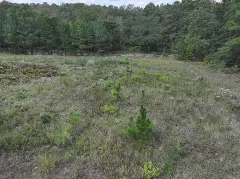 761 Richardson Rd, Amity, AR 71921 photo 12