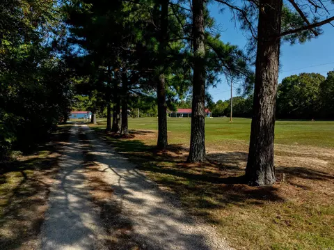10 Strawberry Valley Rd, Ash Flat, AR 72513 photo 9