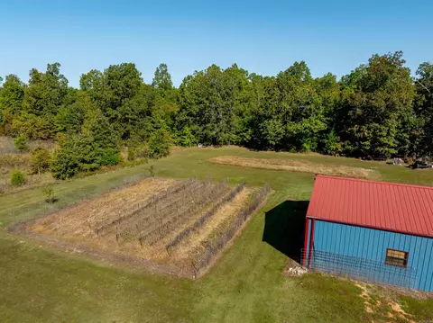 10 Strawberry Valley Rd, Ash Flat, AR 72513 photo 43